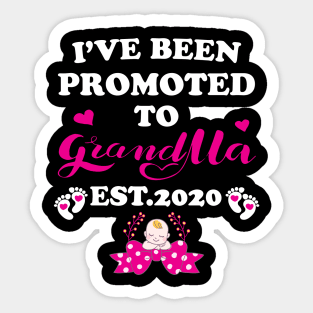 I have been promoted to Grandma Sticker